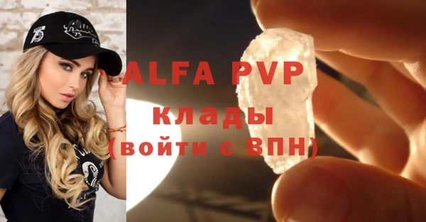 сатива Верея