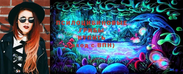 сатива Верея