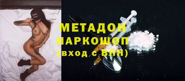 сатива Верея