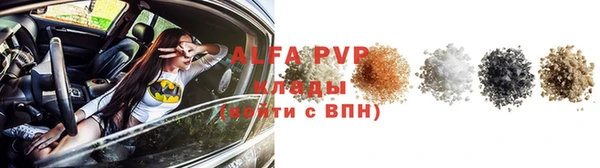 сатива Верея