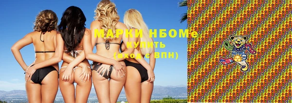 сатива Верея