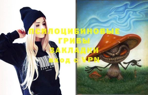 МДПВ Пестово