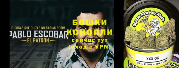 сатива Верея