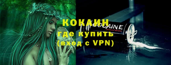 сатива Верея
