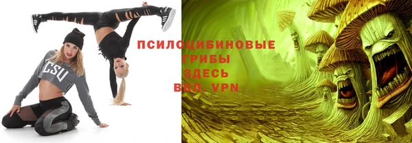 дурь Верхний Тагил